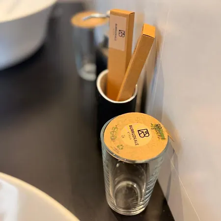 招待所 Burruzkale Etxea 3*