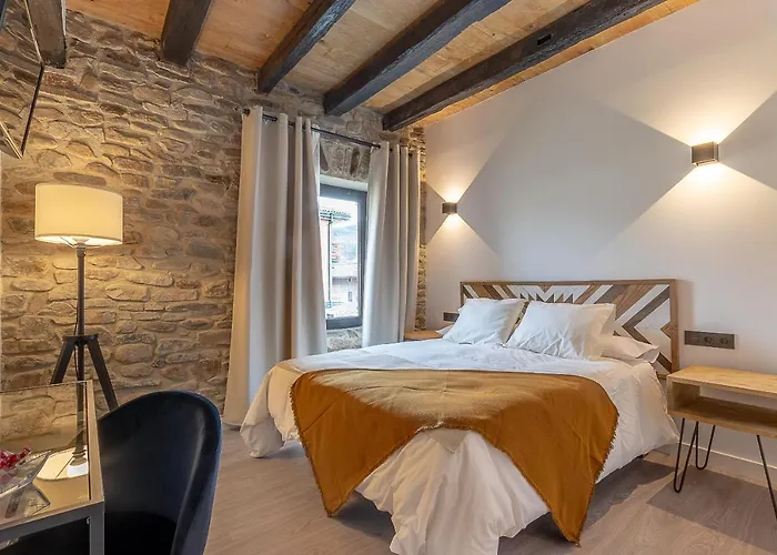 招待所 Burruzkale Etxea 3*