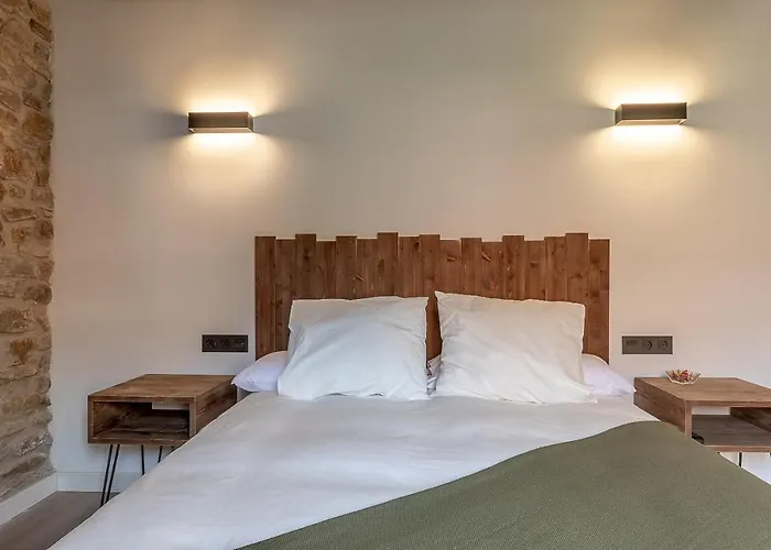 Guest house Burruzkale Etxea Orozko