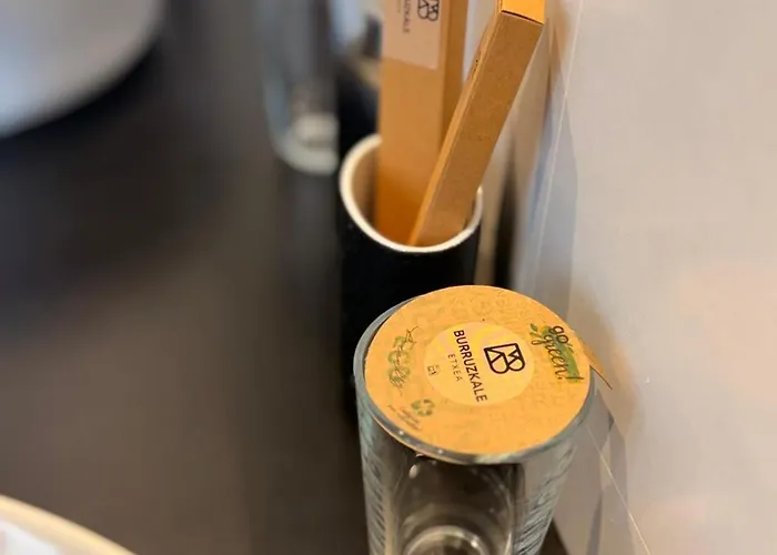 Guest house Burruzkale Etxea 3*